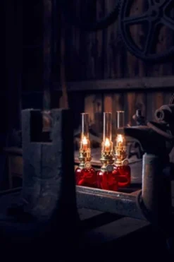 Fotogenlampa - Koholmen, klarglas
