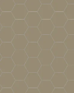 Klinker - Hexagon 10 x 10 cm mullvadsgrå