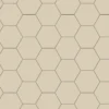 Klinker - Hexagon 10 x 10 cm ontario