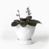 Kruka Sturehof - Adelcrantz, 11 cm vit