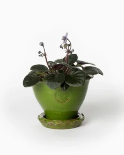 Kruka Sturehof - Adelcrantz, 11 cm grön