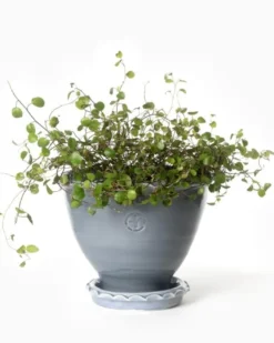 Kruka Sturehof - Adelcrantz, 17 cm grå