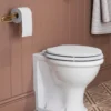 WC - Guild back-to-wall toalett med sits